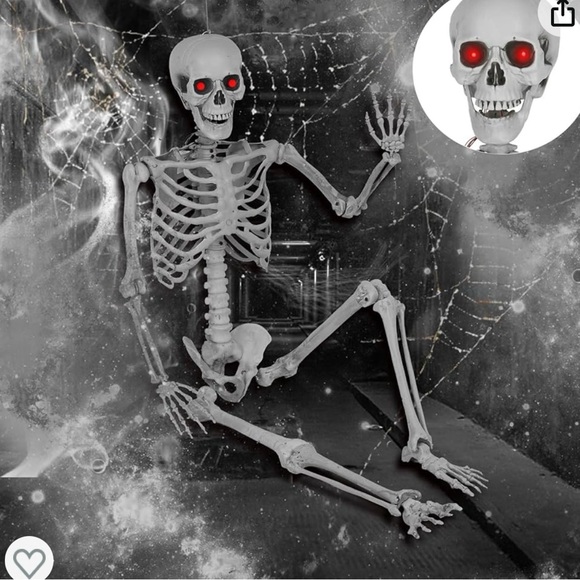 Posable Life-Size Halloween Skeleton, 5' life size shipping cost varies - Picture 4 of 4